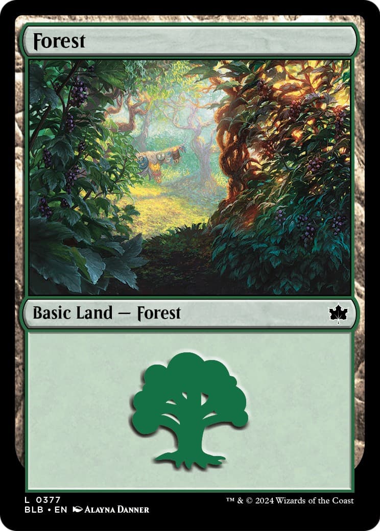 Forest - Image 1