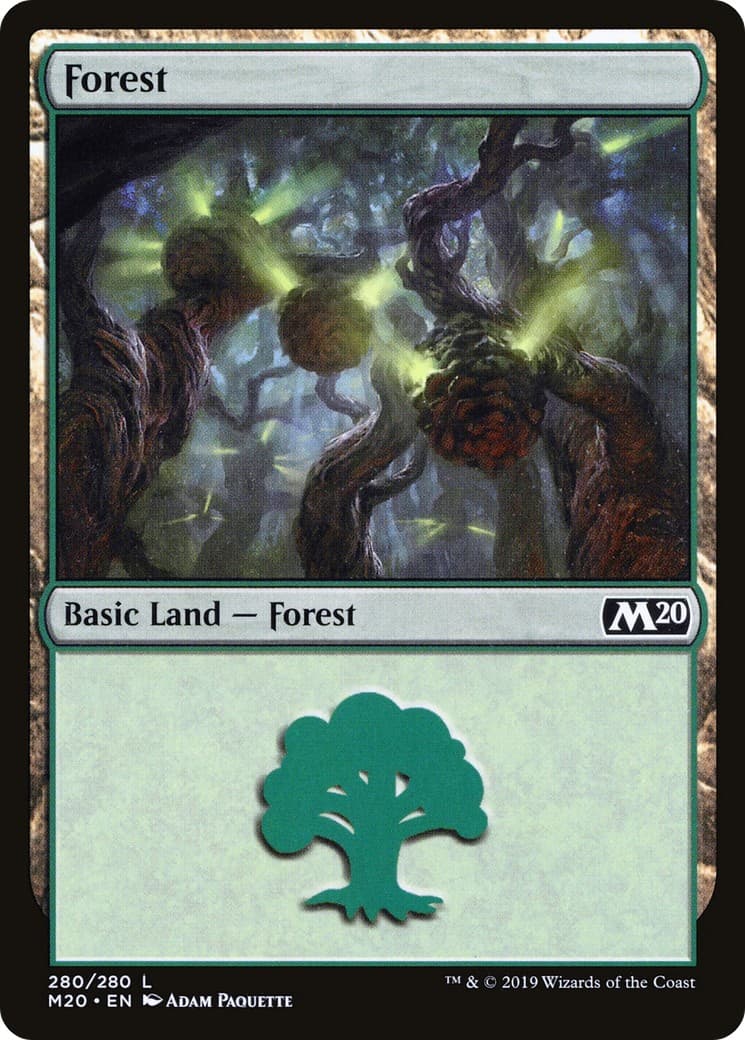 Forest - Image 1