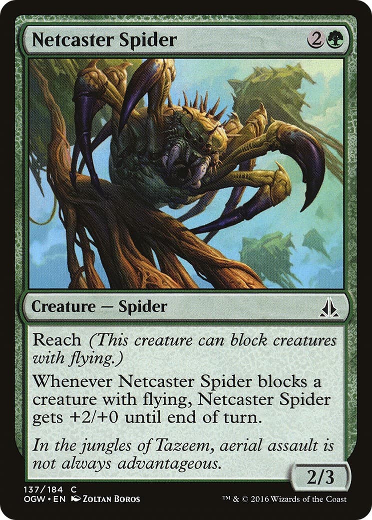 Netcaster Spider - Image 1