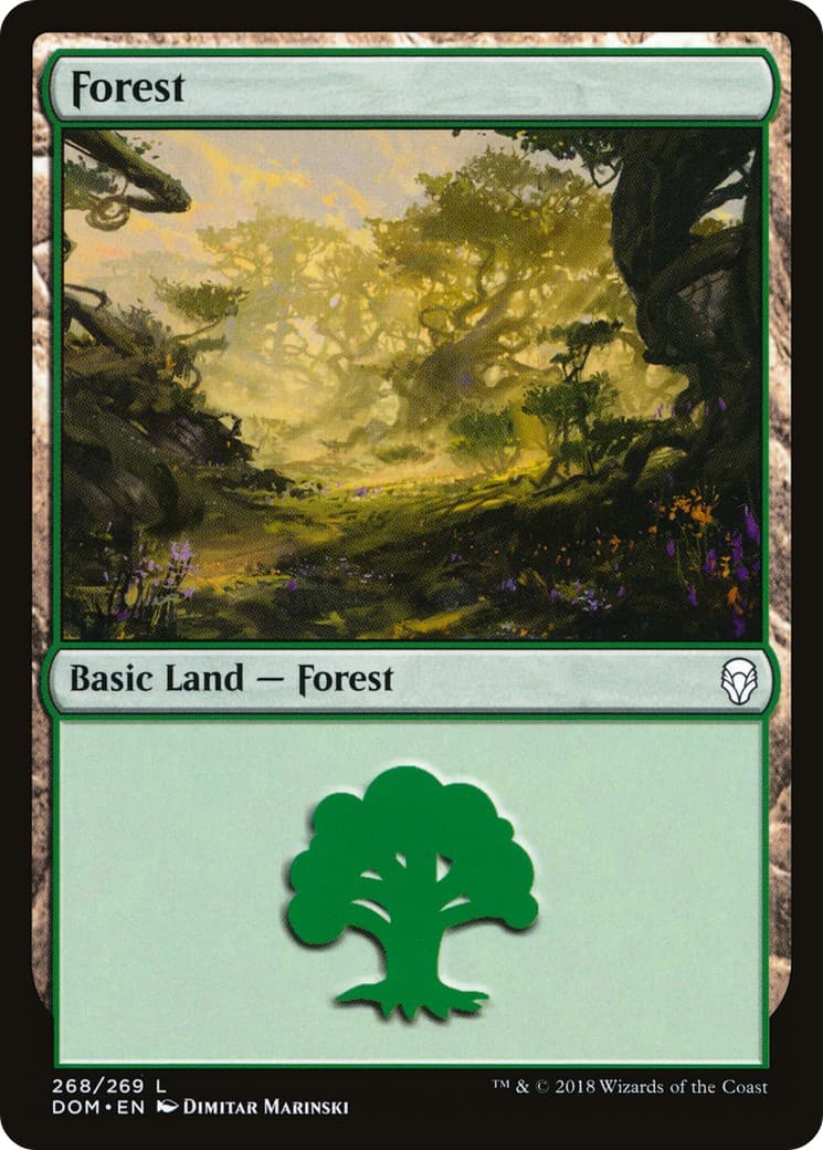 Forest - Image 1
