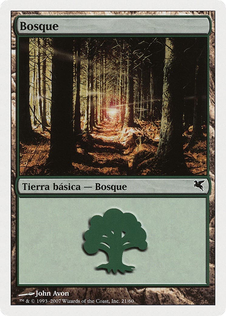 Forest - Image 1