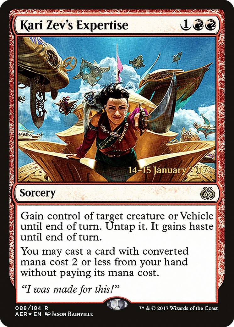 Kari Zev's Expertise - Image 1