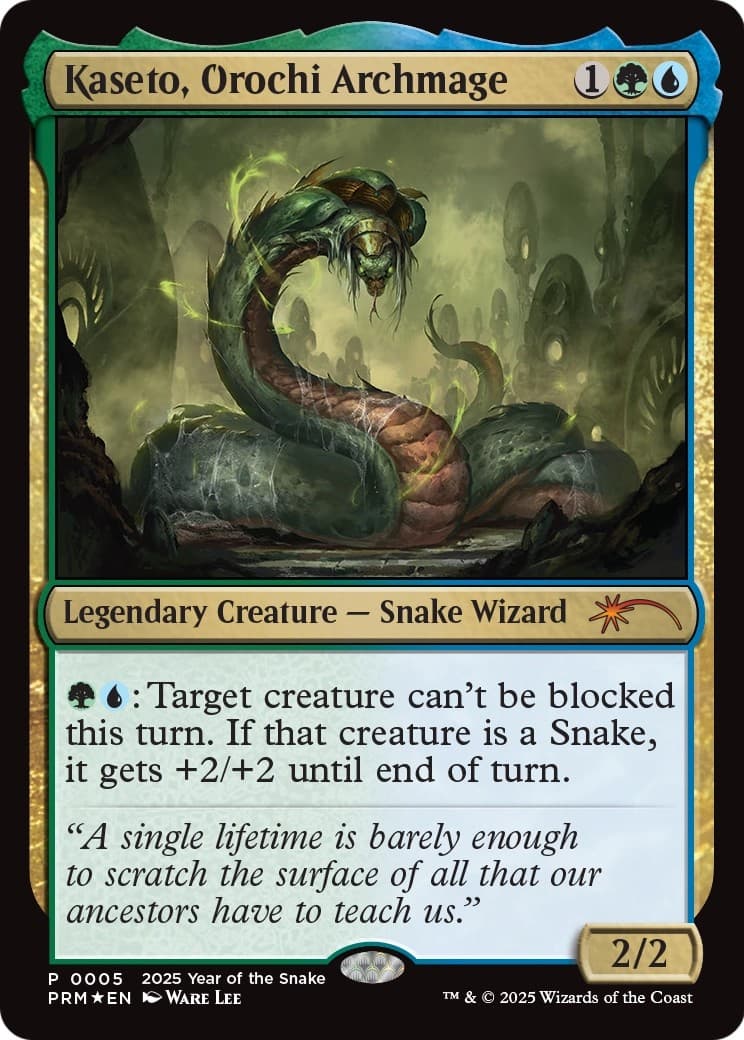 Kaseto, Orochi Archmage - Image 1
