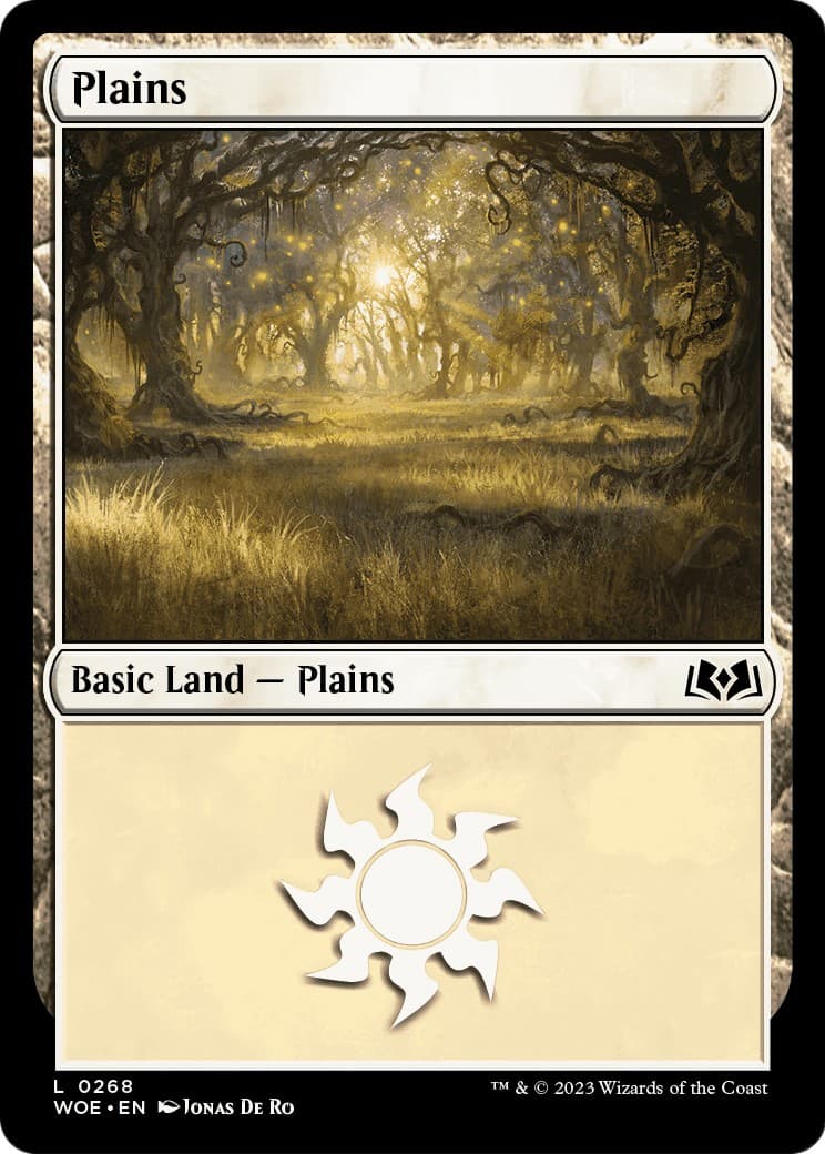 Plains - Image 1