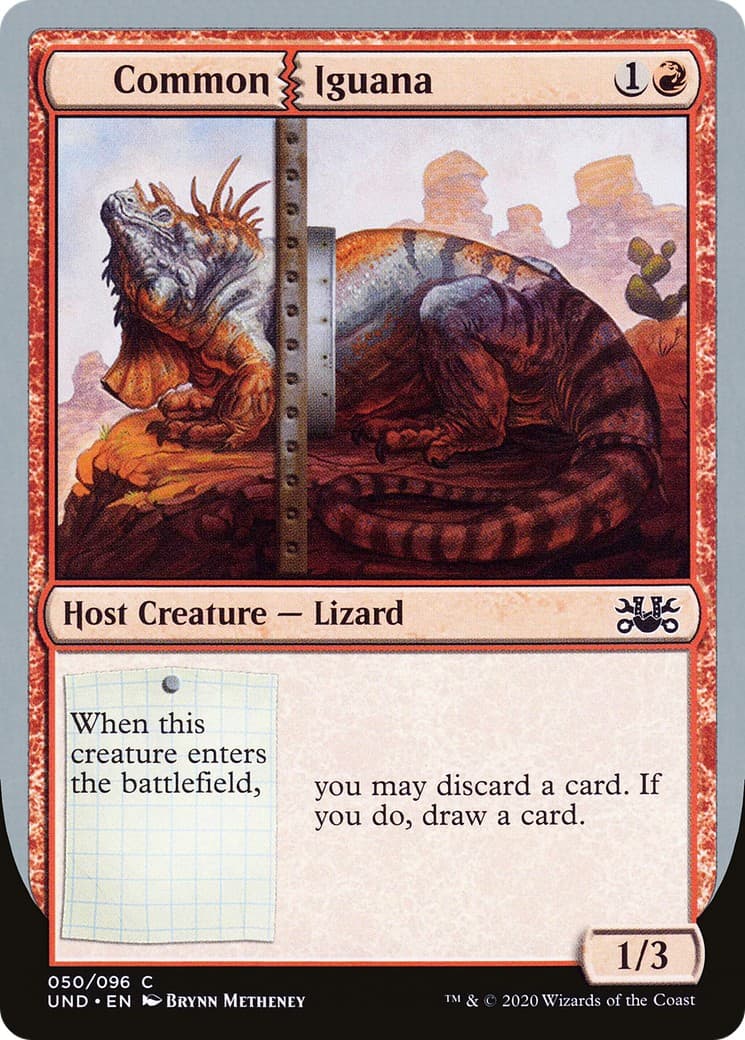 Common Iguana - Image 1