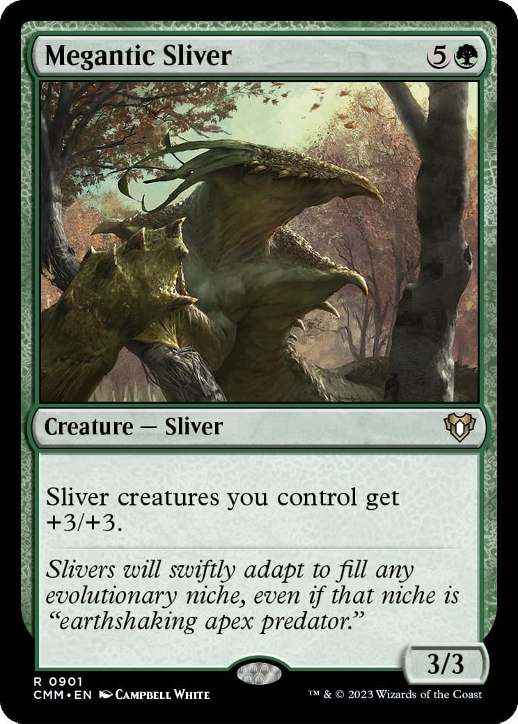 Megantic Sliver - Image 1