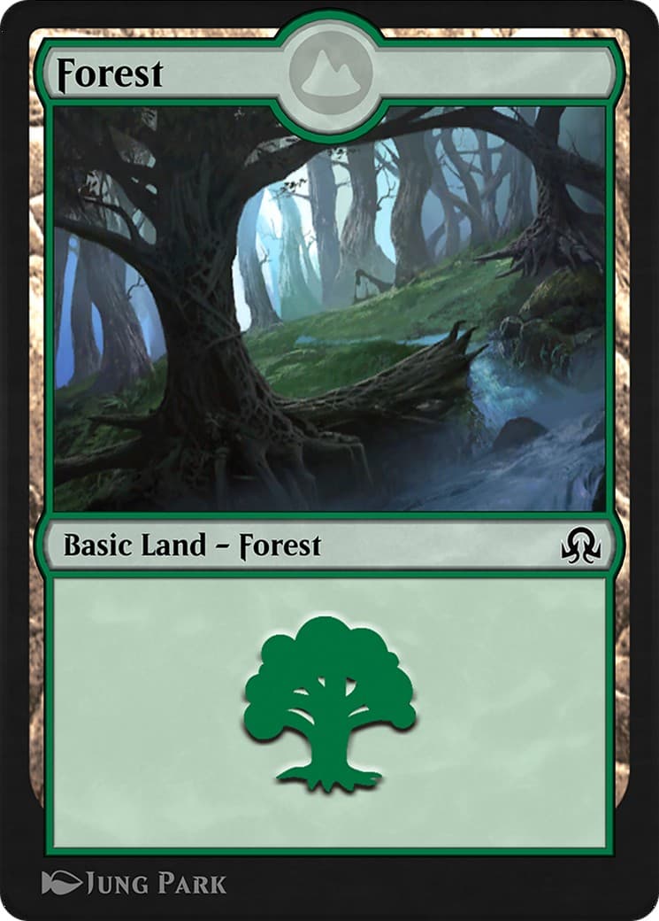 Forest - Image 1