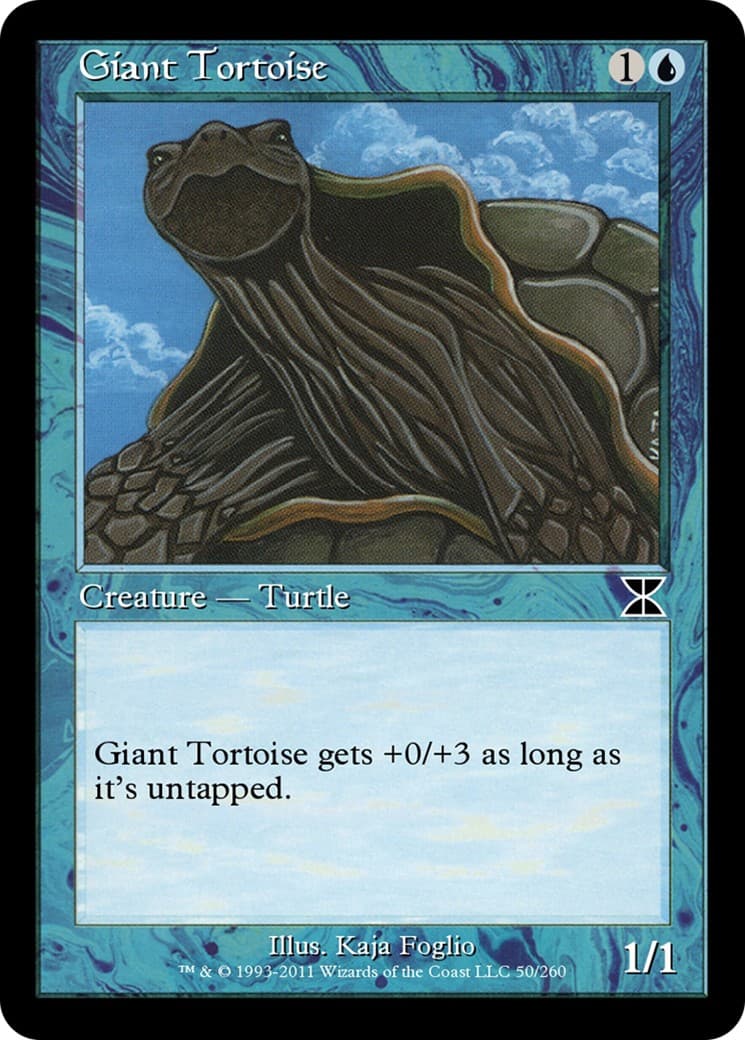Giant Tortoise - Image 1