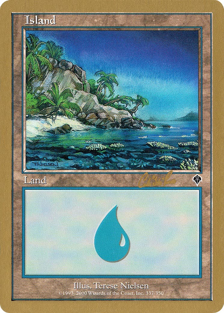 Island - Image 1