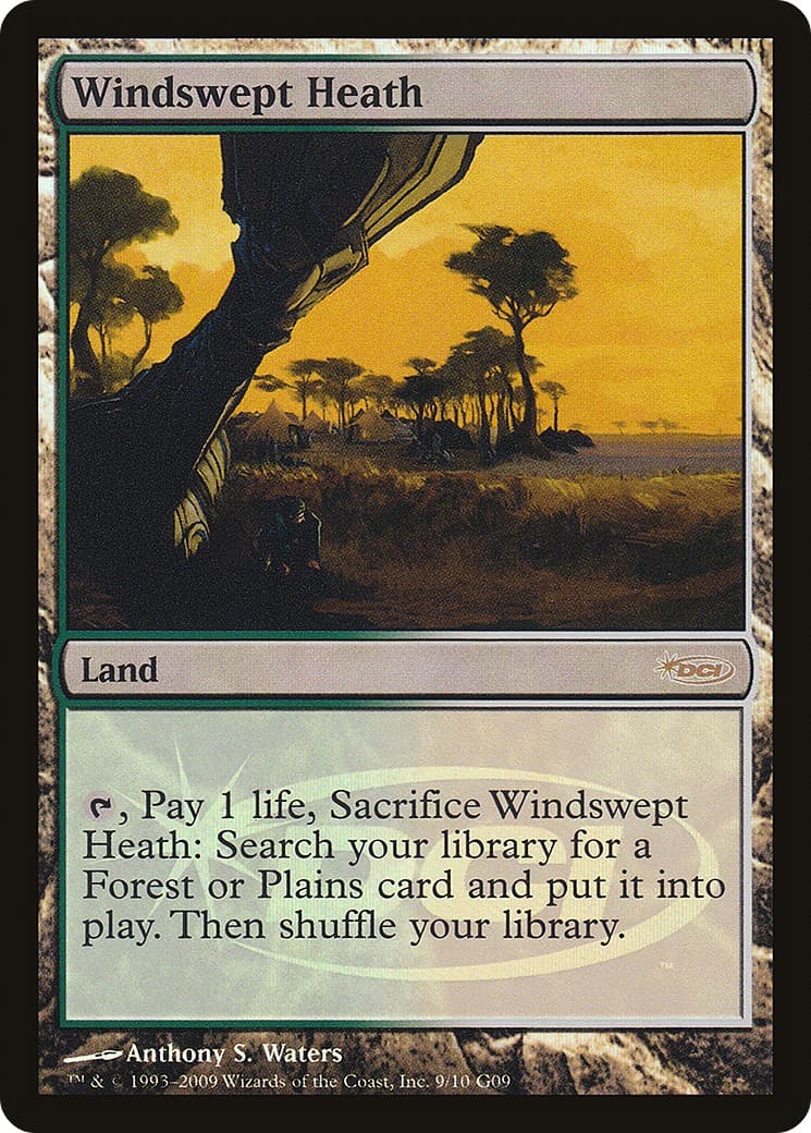 Windswept Heath - Image 1