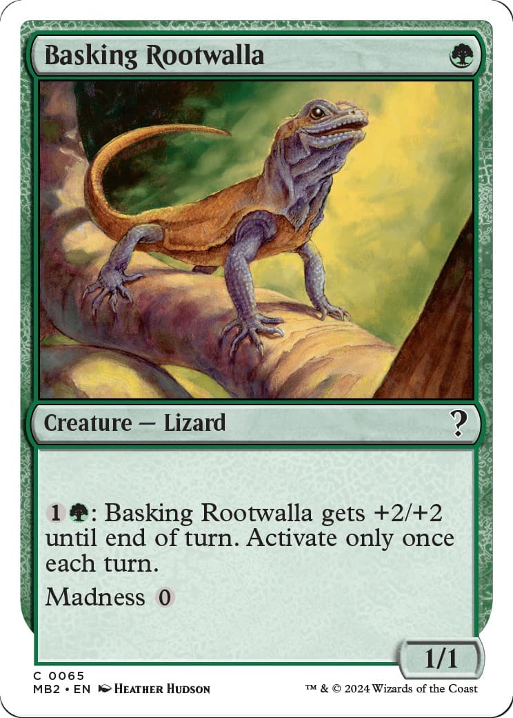 Basking Rootwalla - Image 1