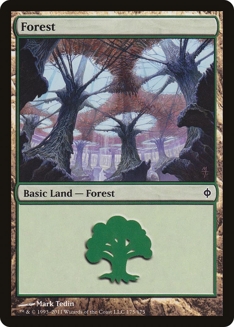 Forest - Image 1