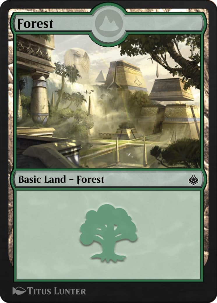 Forest - Image 1