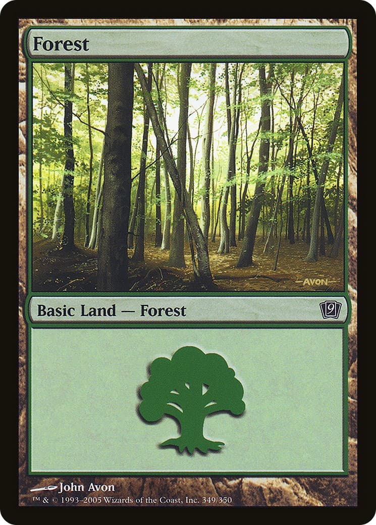 Forest - Image 1