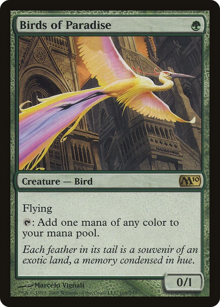 Birds of Paradise - Image 1