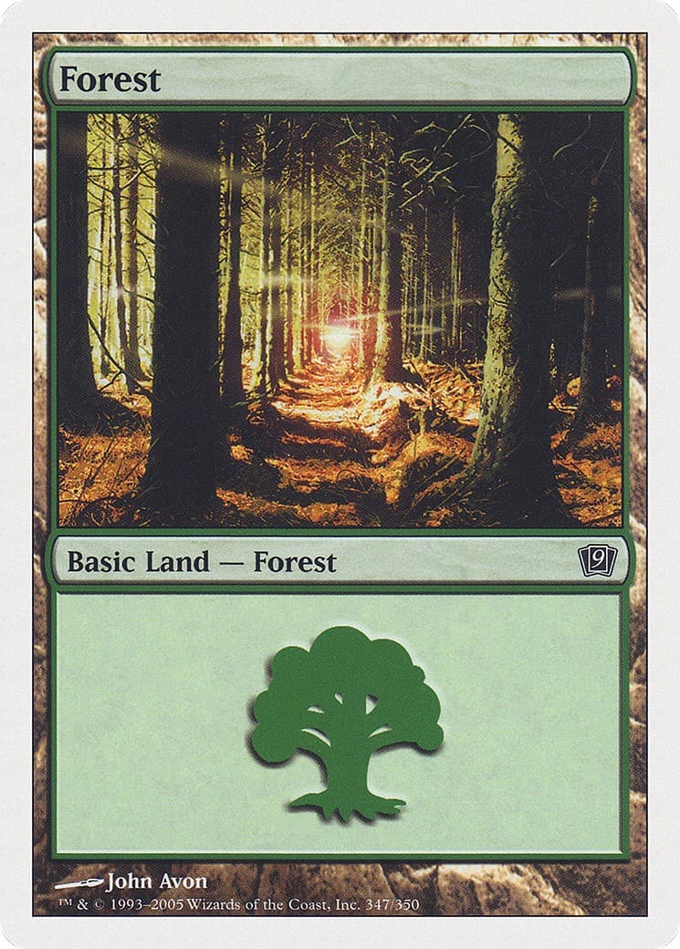 Forest - Image 1
