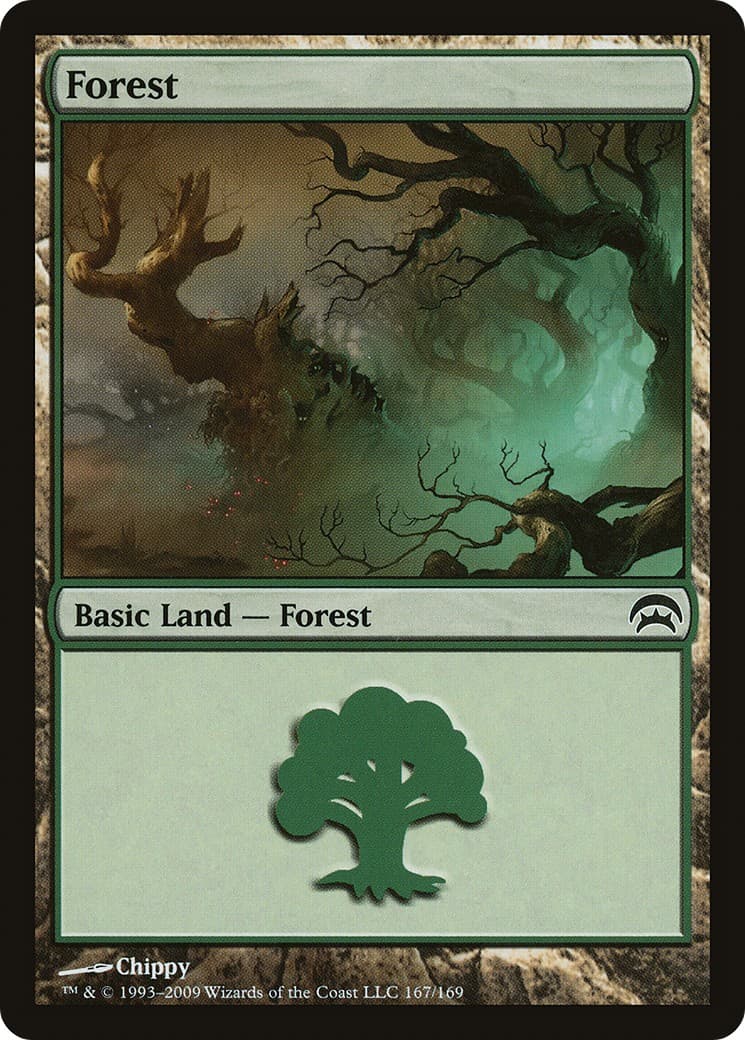 Forest - Image 1