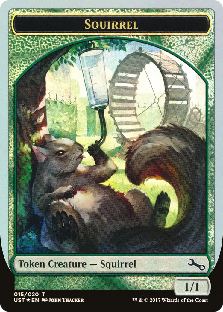 Squirrel - Image 1