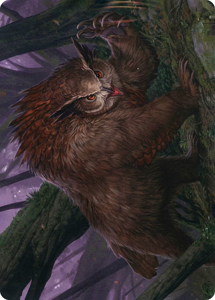 Owlbear // Owlbear - Image 1