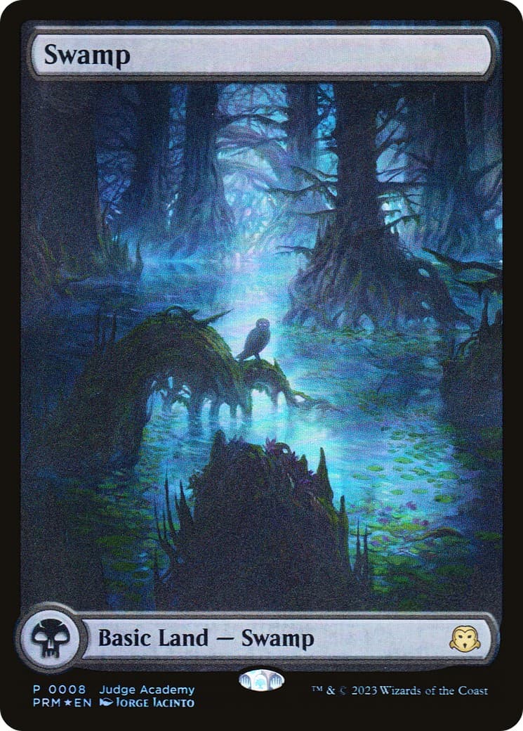 Swamp - Image 1