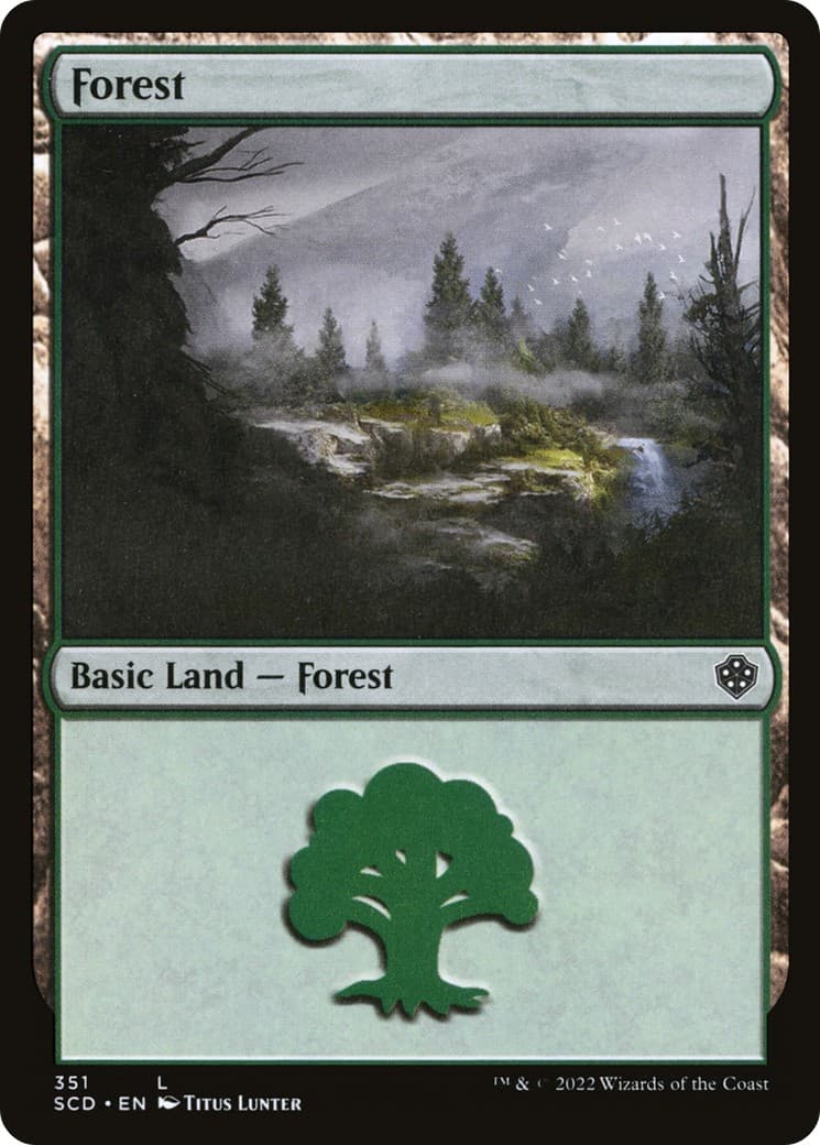 Forest - Image 1