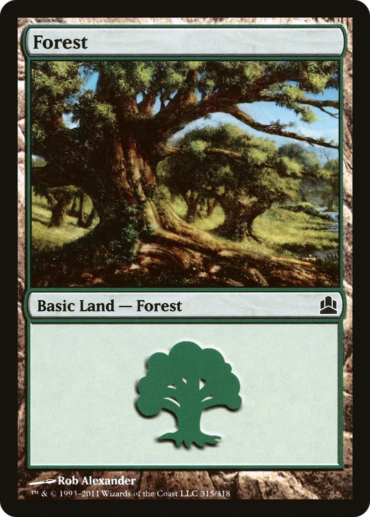 Forest - Image 1