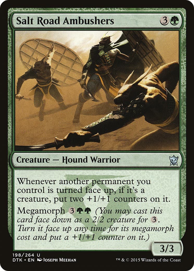 Salt Road Ambushers - Image 1