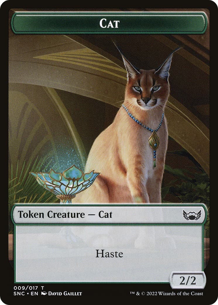 Cat - Image 1