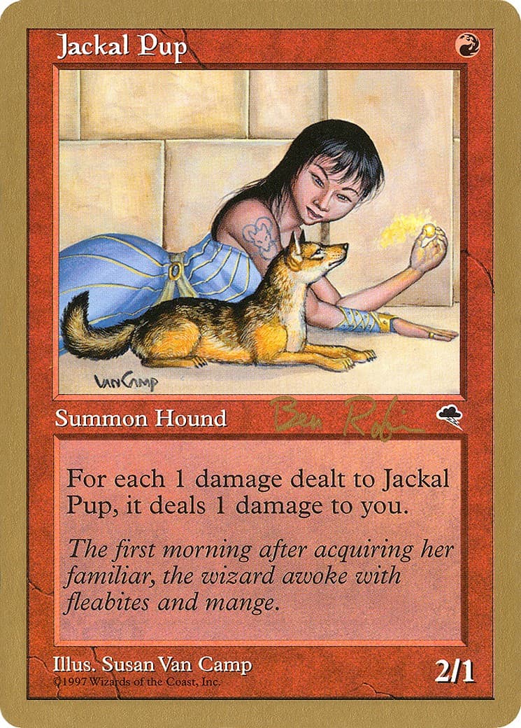Jackal Pup - Image 1