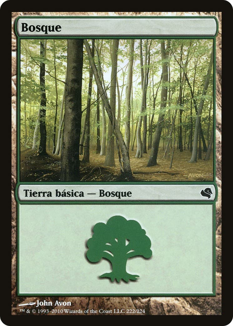 Forest - Image 1