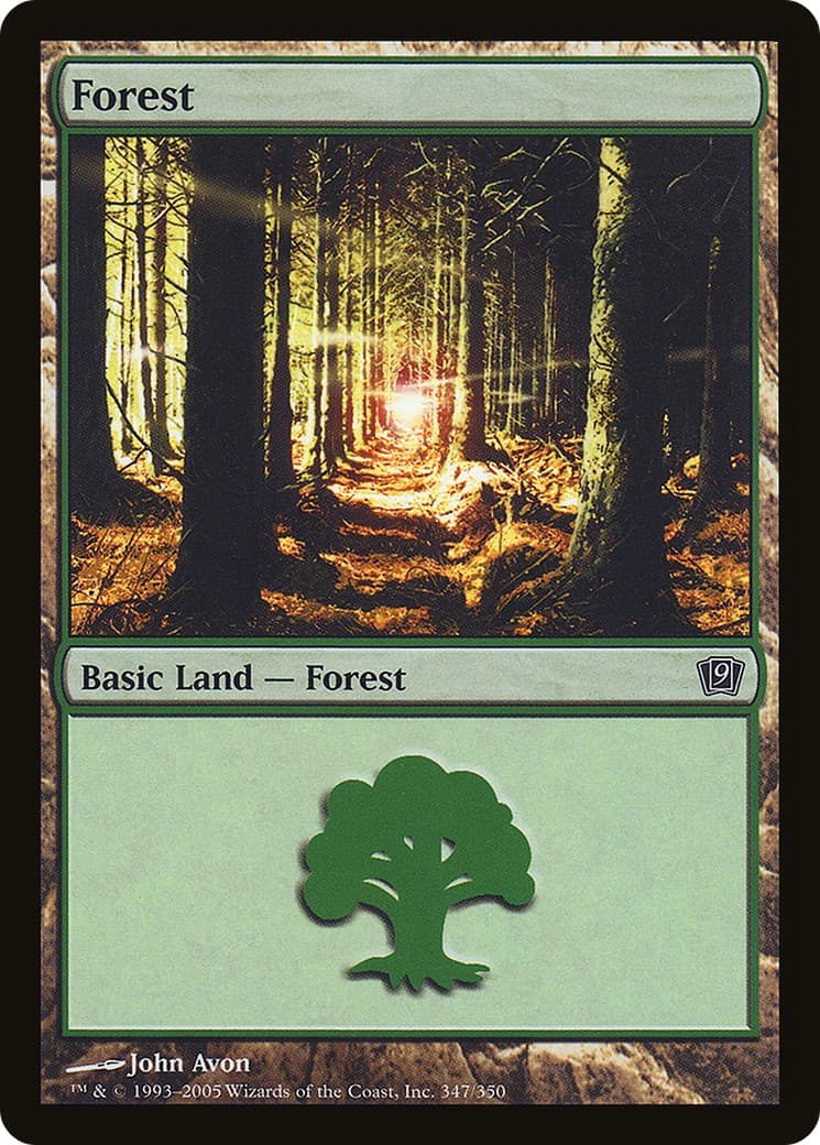 Forest - Image 1