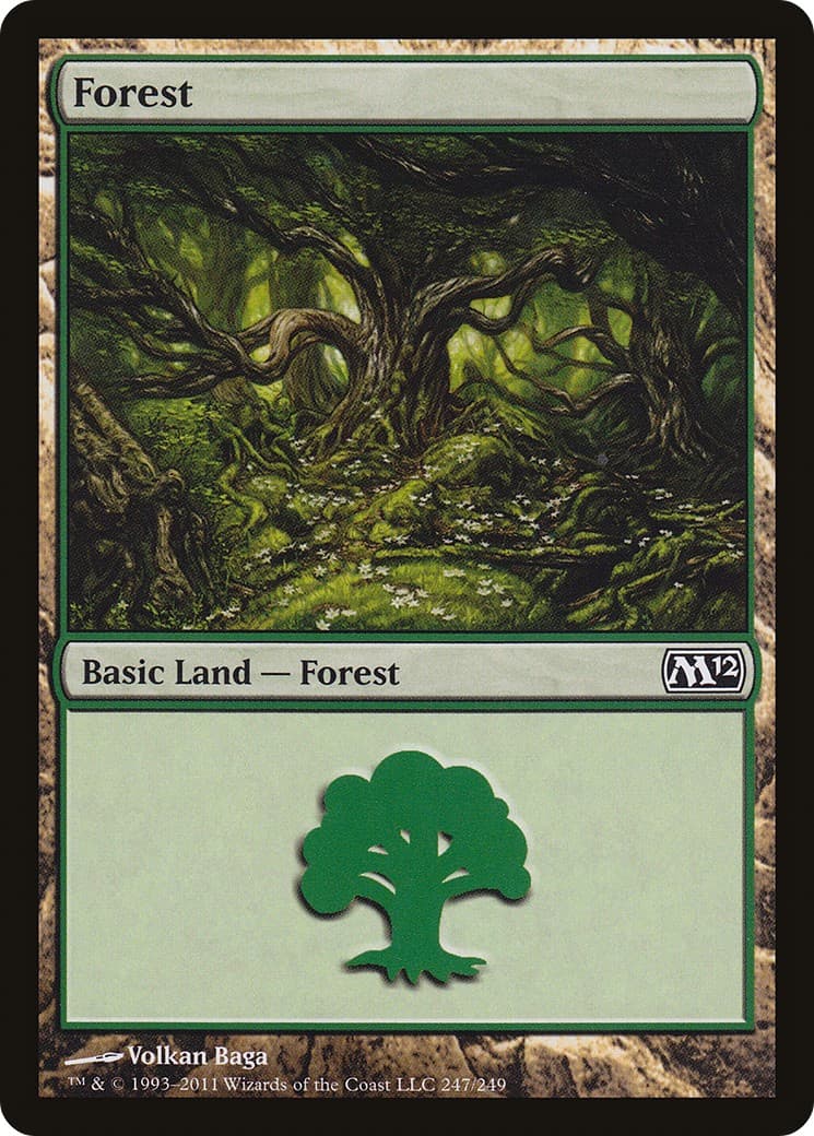 Forest - Image 1