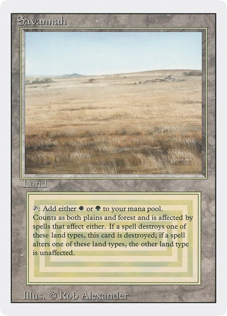 Savannah - Image 1