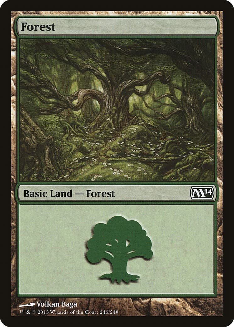 Forest - Image 1