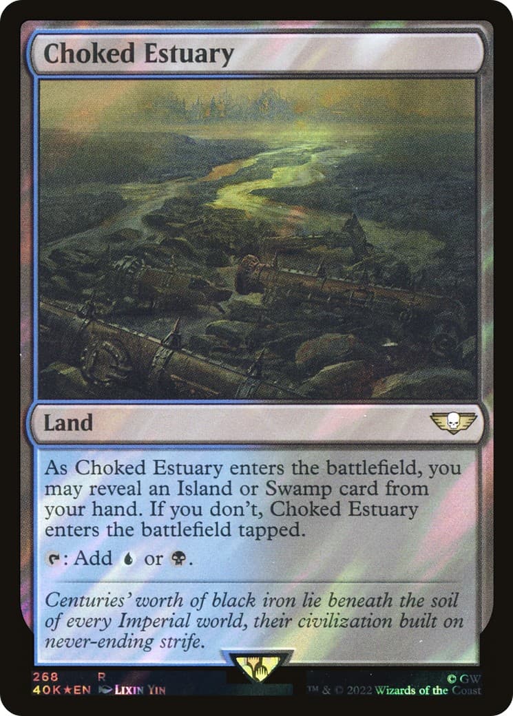 Choked Estuary - Image 1