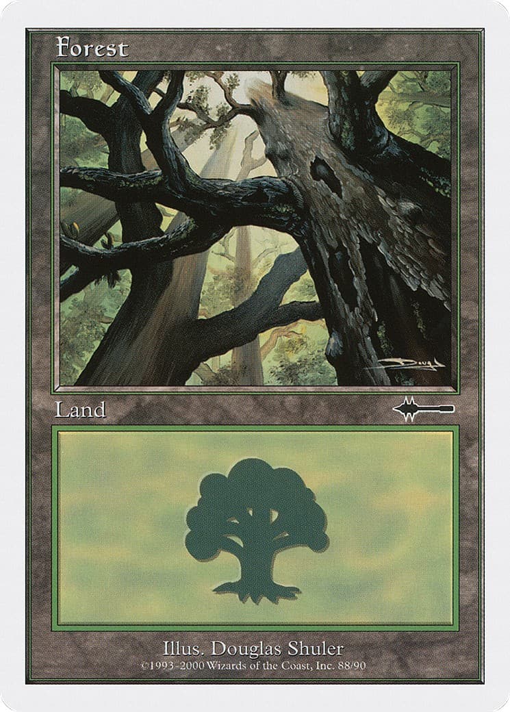 Forest - Image 1