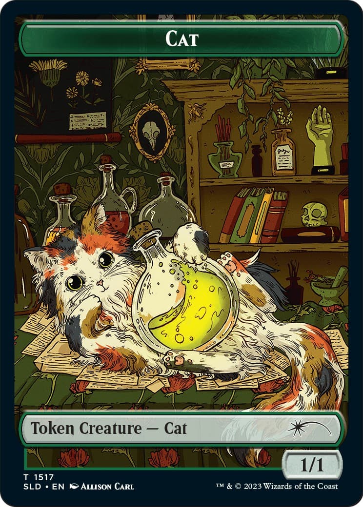 Cat - Image 1