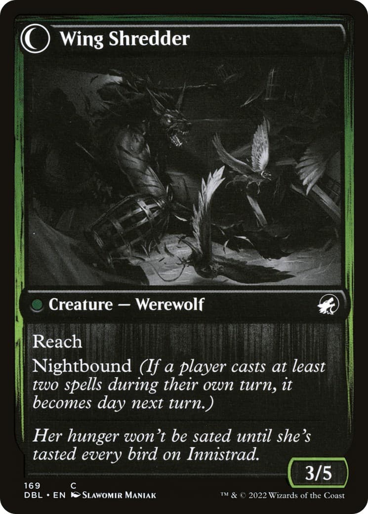 Bird Admirer // Wing Shredder thumbnail 2