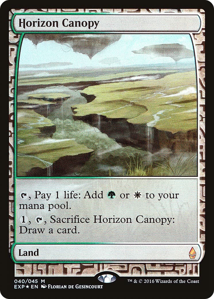 Horizon Canopy - Image 1