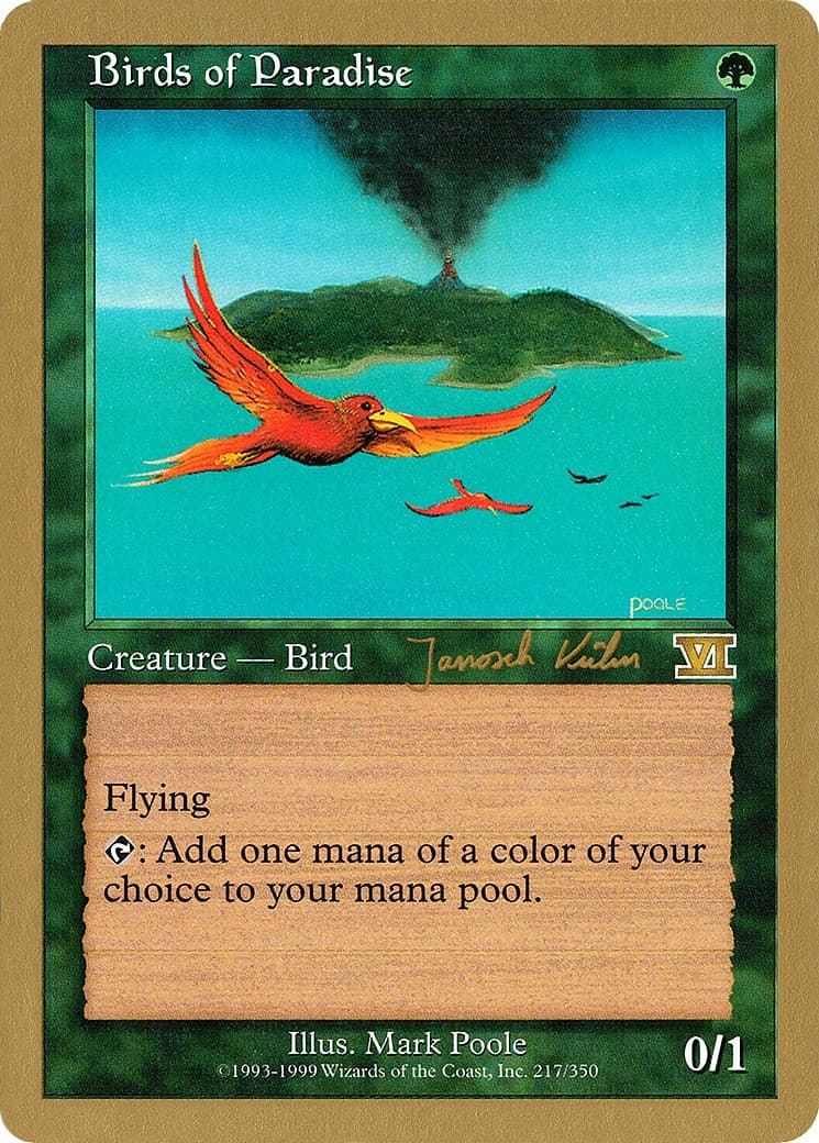 Birds of Paradise - Image 1