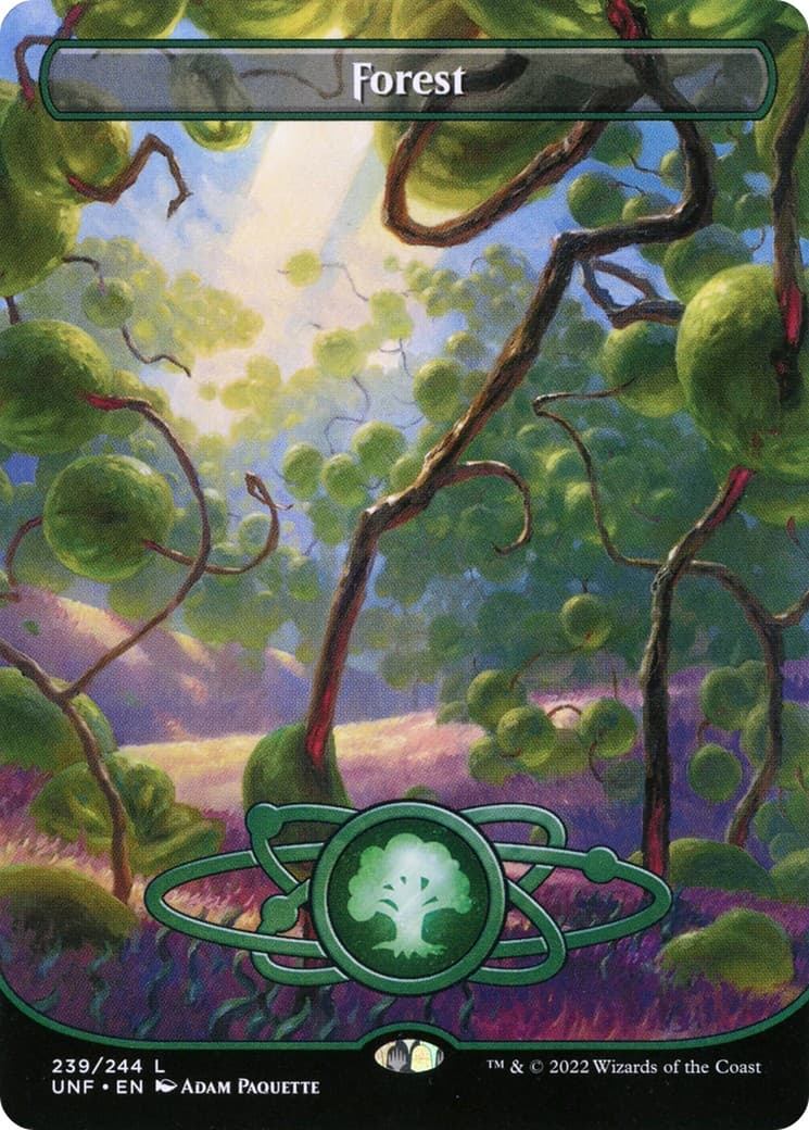 Forest - Image 1
