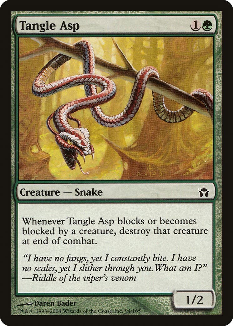 Tangle Asp - Image 1