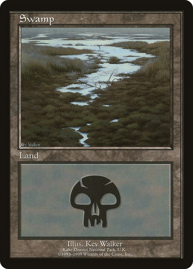 Swamp - Image 1