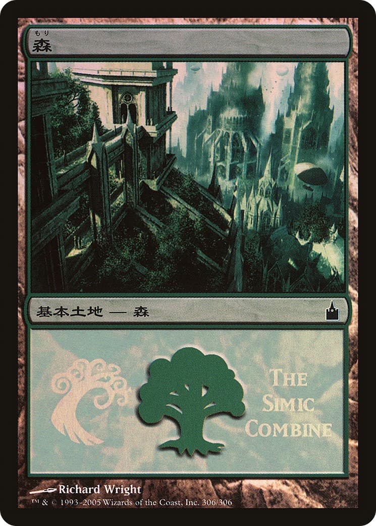 Forest - Image 1
