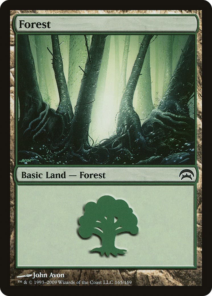 Forest - Image 1