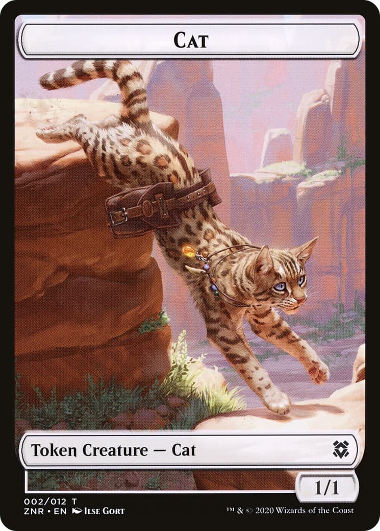 Cat - Image 1