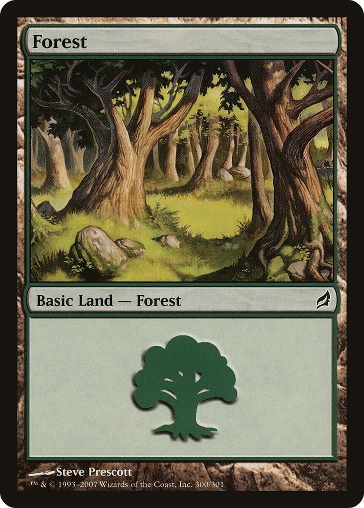 Forest - Image 1