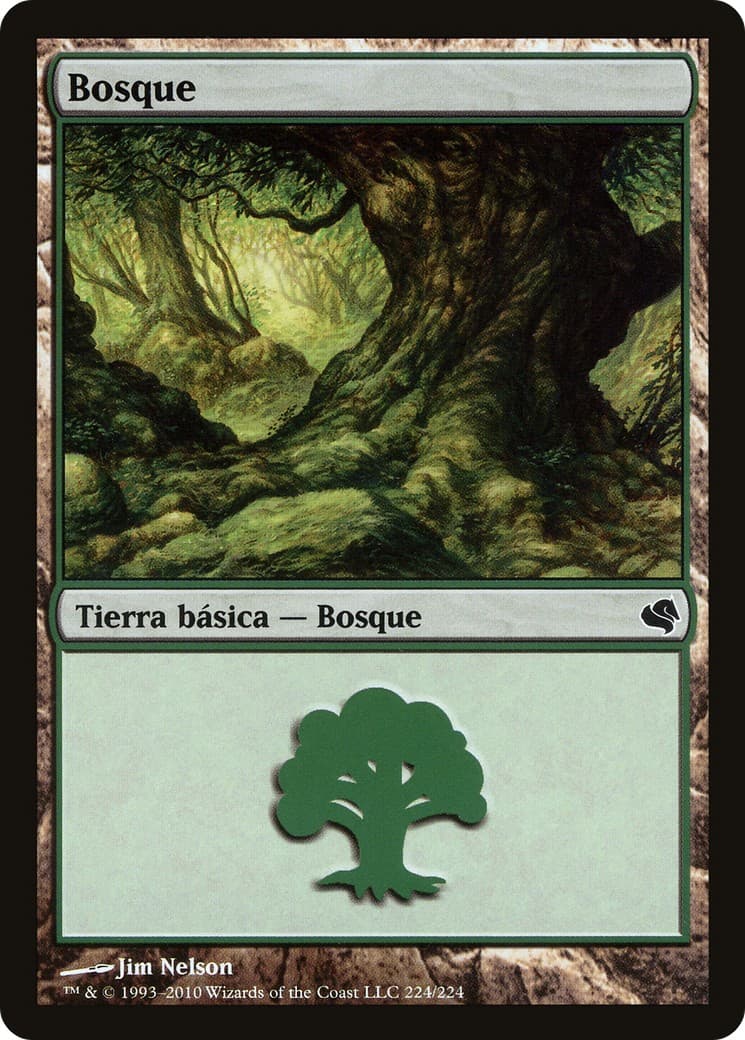 Forest - Image 1