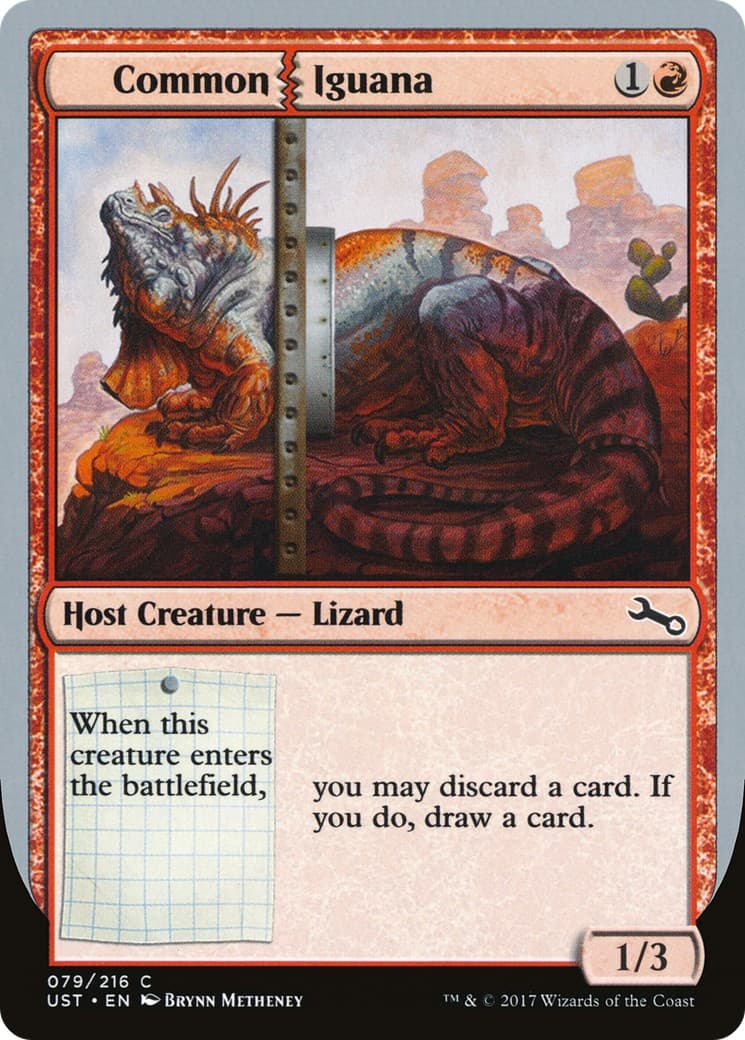 Common Iguana - Image 1