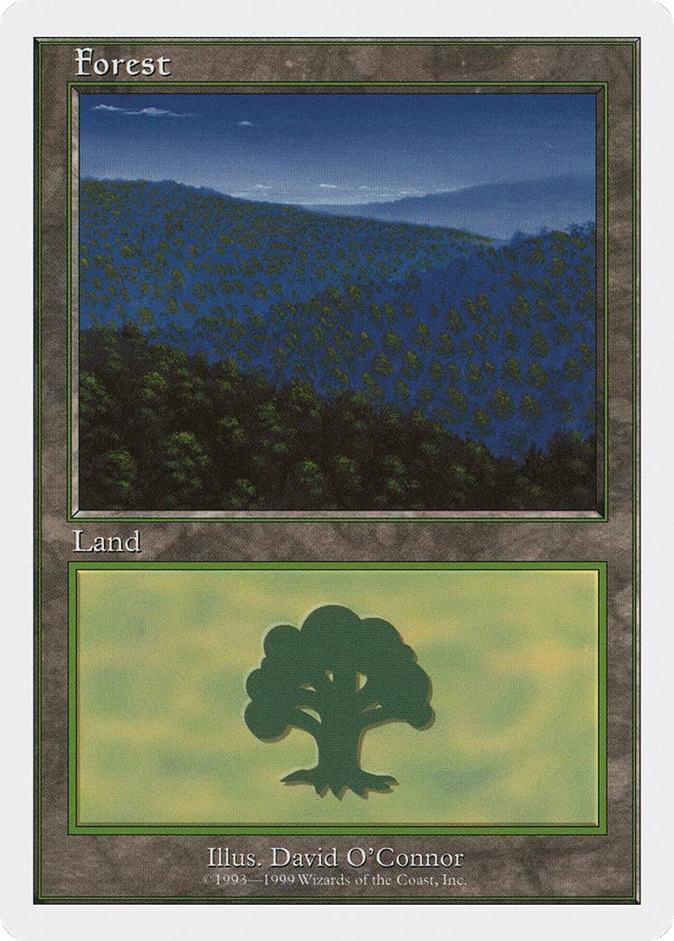 Forest - Image 1